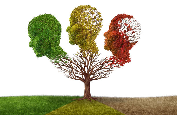 Cognitive Transitions