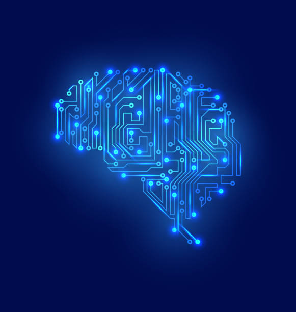 Modafinil Hacks Brain Circuits